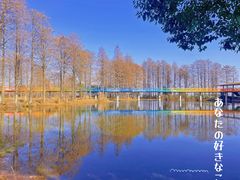 -东湖生态旅游风景区