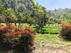 -贵阳市花溪国家城市湿地公园