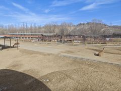 -鄂尔多斯野生动物园