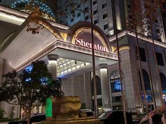 -西安赛瑞喜来登大酒店