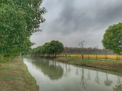-嘉北郊野公园