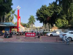 -金砂公园