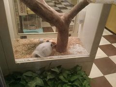 -龙猫仔乐园(惠福东路店)