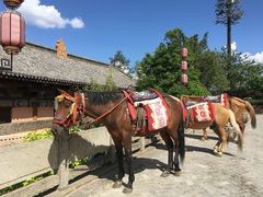 -天龙八部武侠城