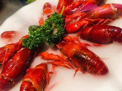 冰镇小龙虾-沪小胖小龙虾(淮海中路旗舰店)