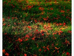 -厦门国家会计学院