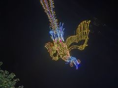-海合安武汉极地海洋公园