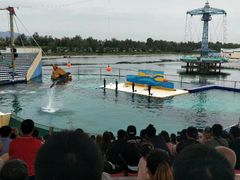 -秦皇岛乐岛海洋王国