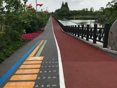 -上海长兴岛郊野公园