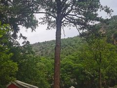 -北京上方山国家森林公园