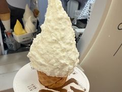 -野人先生现做冰淇淋(北京顺义祥云小镇店)