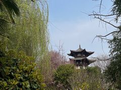 -武汉园博园(武汉自然博物馆)
