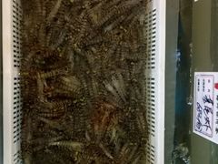 -旺角小渔村(幸福中路店)