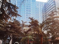 -中国人民解放军总医院