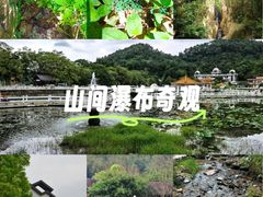 -红山村