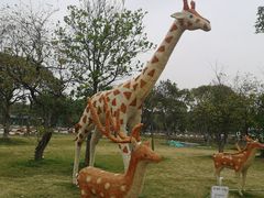 -长洲岛都市农业公园