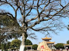 -橘子洲景区
