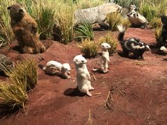 -陕西自然博物馆