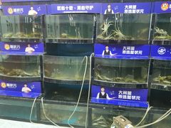 水产区-蟹状元大闸蟹·年货·粽子(成都成华店)