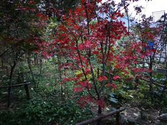 -大伊山景区