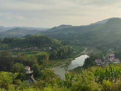 -黑河坝泡姜鸡贡椒鱼(贾旗路店)