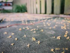 -MICC蒙世学堂幼儿园(灵山校区)