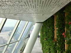 -WFC会仙楼观景台
