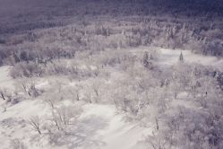 -大秃顶子山(雪谷店)