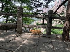 -崂山巨峰游览区