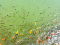 -桑干河大峡谷旅游区