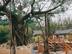 -华山御温泉度假村