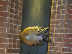 -永安鱼庄·镇江菜(东吴路店)