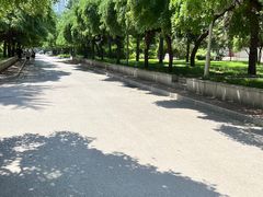 -中央民族大学