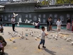 -西安大兴善寺