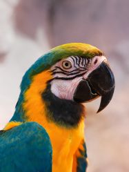 -Zoolung Zoolung动物主题公园(海信广场店)