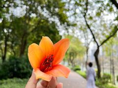 -怡海公园(桂城街道)