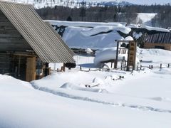-喀纳斯禾木山庄