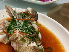 清蒸野生笋壳鱼-瑞福园联谊餐室(茂名南路店)
