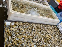 -登州市场(登州路店)