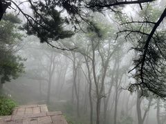 -泰山风景名胜区