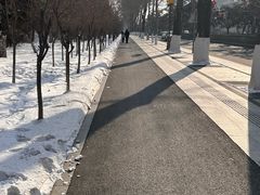 -长春市南湖公园