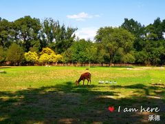-承德避暑山庄景区