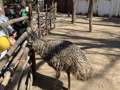 -银树楼(紫玉山庄东区店)