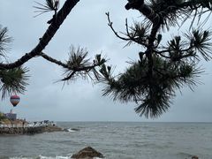 -北戴河碧螺塔海上酒吧公园