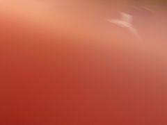 -侃爷南门铜锅涮肉