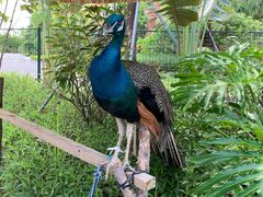 -珠海海泉湾神秘岛亲子乐园