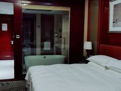 -常州武进九洲喜来登酒店