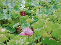 -四川大学(望江校区)