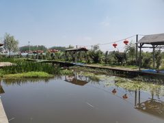 -同銮特种养殖场·龙虾垂钓