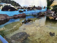 -鸿通城购物中心